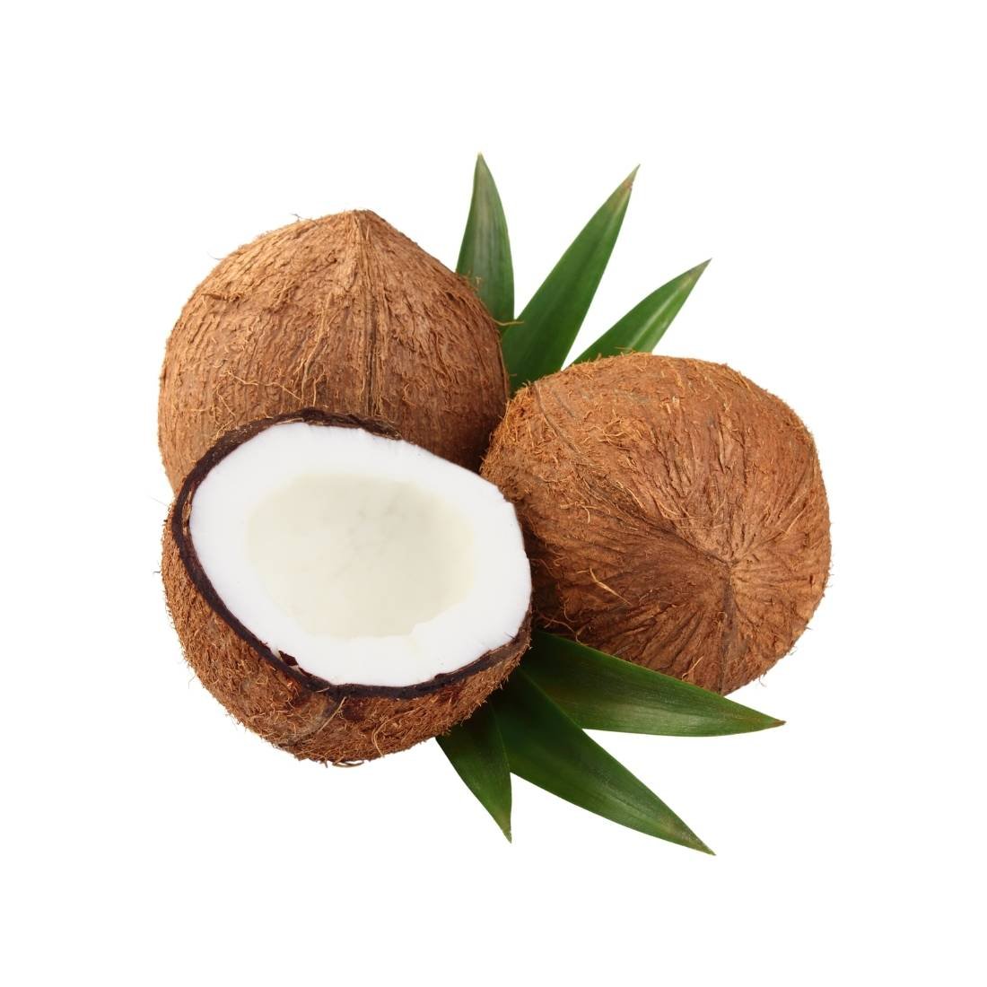 Coconuts
