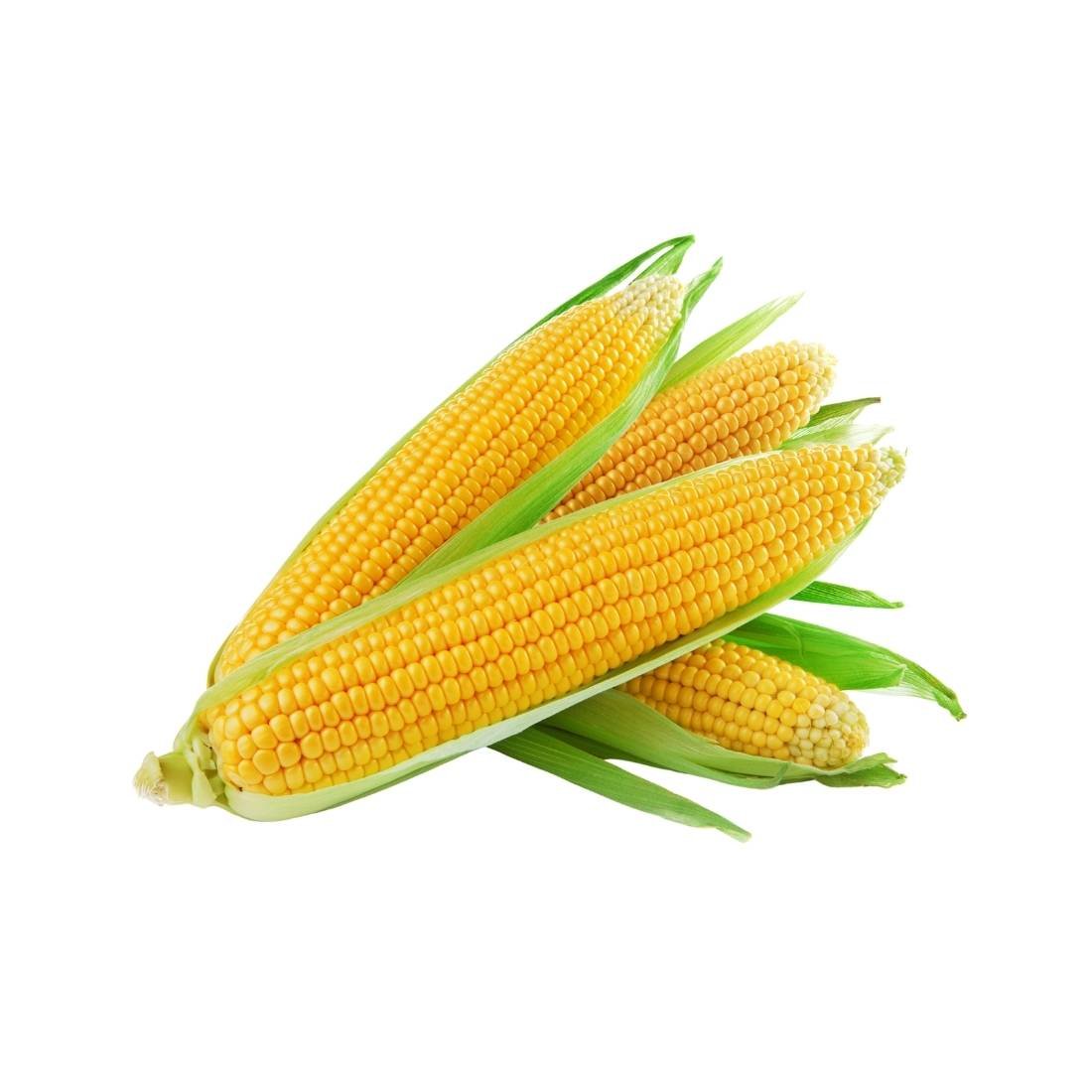 Yellow Corn
