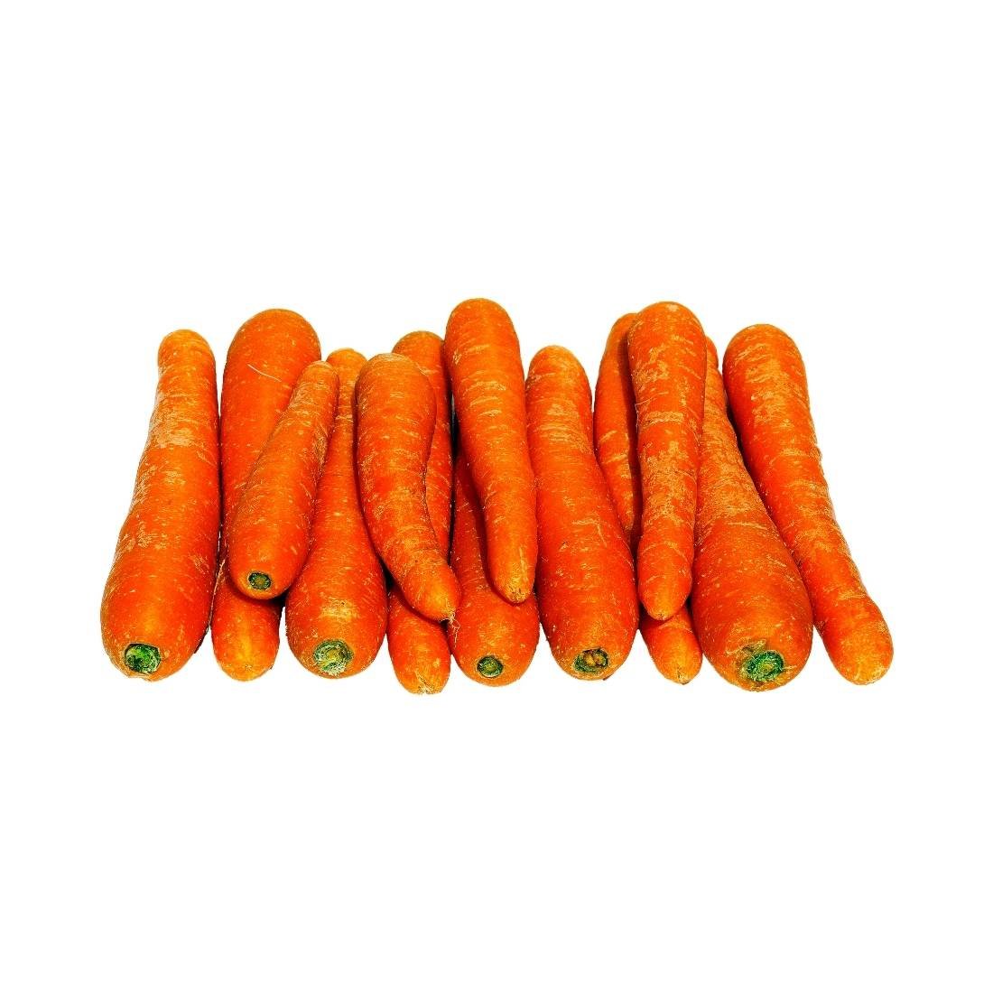 Carrot - Image 3