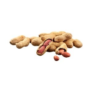 Peanuts / Groundnut