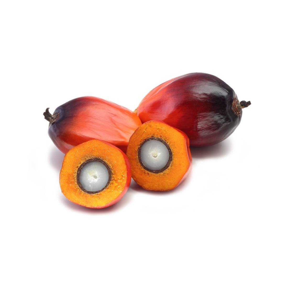 Palm Nut /Abe - Image 4