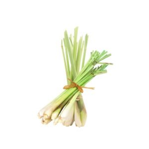 Spring Onion