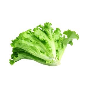 Lettuce