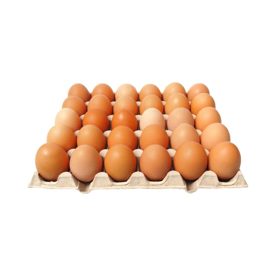 Eggs - Image 3