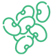 Legumes